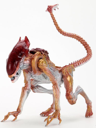 Aliens - 7" Scale Action Figure - Kenner Tribute Panther Alien